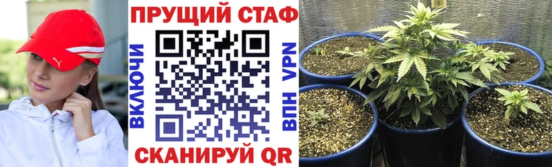 Купить наркотики сайты Кореновск MEGA ТОР  МАРИХУАНА  МЕФ  СК  ГАШИШ  КОКАИН  Героин 