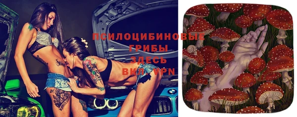 таблы Алзамай