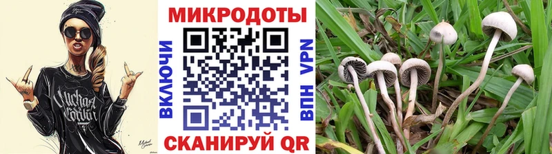 Галлюциногенные грибы ЛСД  darknet телеграм  Кореновск 