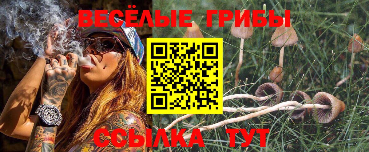 Галлюциногенные грибы прущие грибы  Вход с VPN  Кореновск 